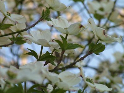Spring is here, finally.