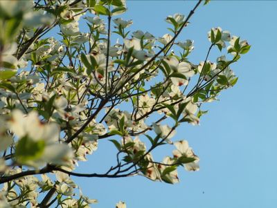 Spring is here, finally.