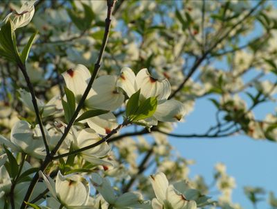 Spring is here, finally.