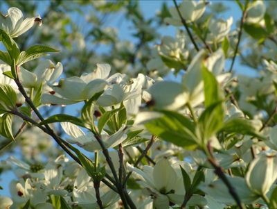 Spring is here, finally.